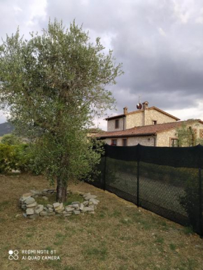 la Casa degli olivi Volterra